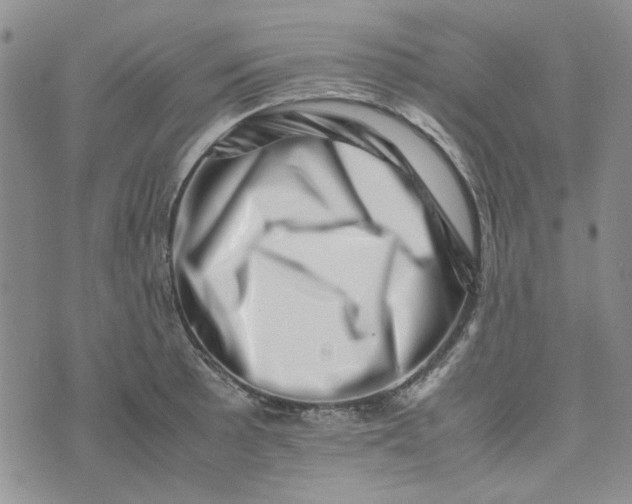 X0000075361089200609251056