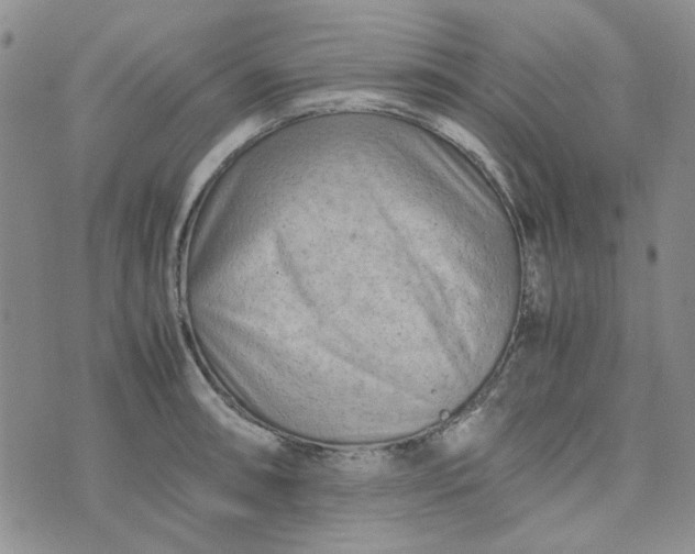 X0000075361090200609251056