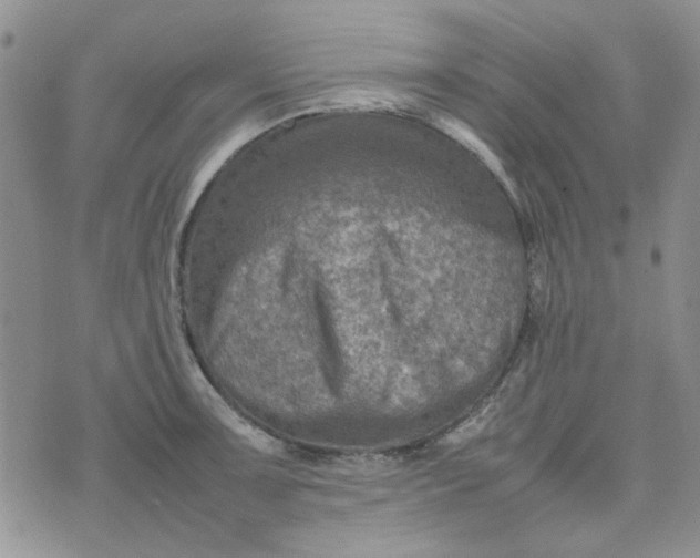 X0000075361091200609251056