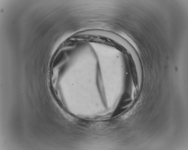 X0000075361093200609251056