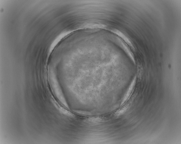 X0000075361094200609251056