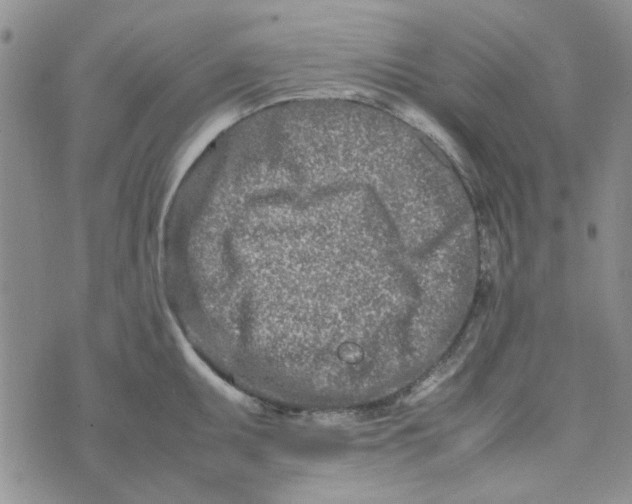 X0000075361095200609251056