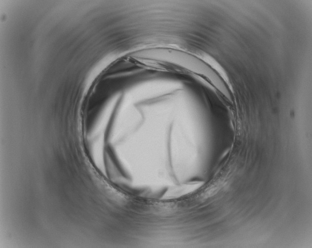 X0000075361096200609251056