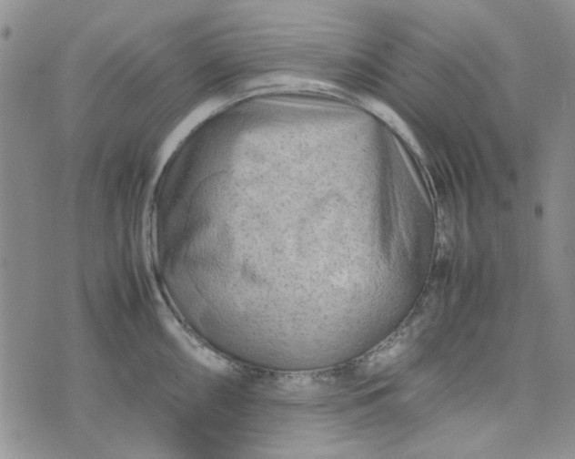 X0000075361098200609251056