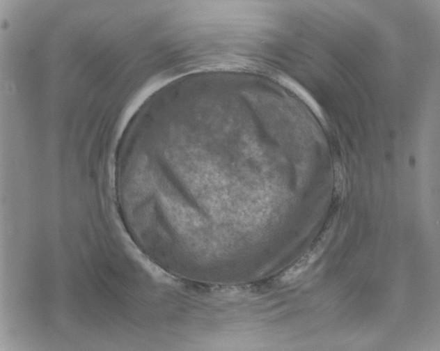 X0000075361099200609251056