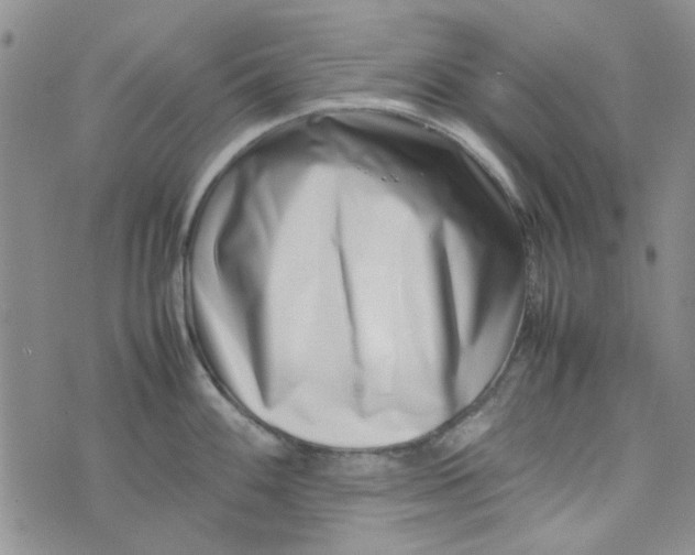 X0000075361100200609251055