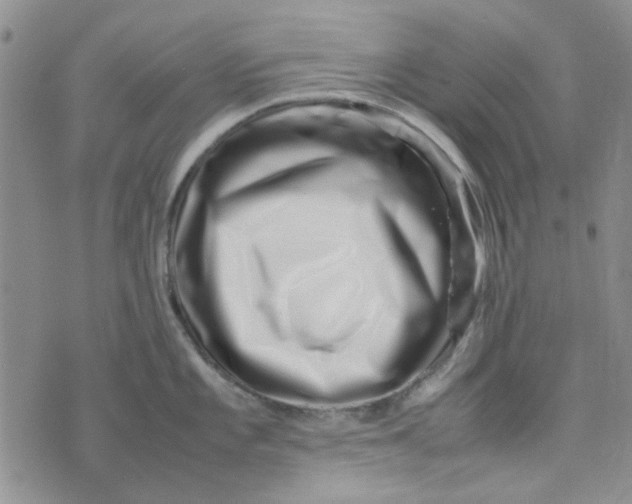 X0000075361101200609251055