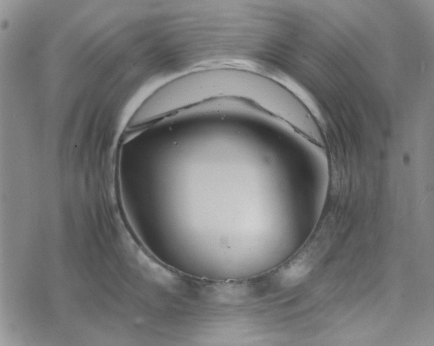 X0000075361102200609251055