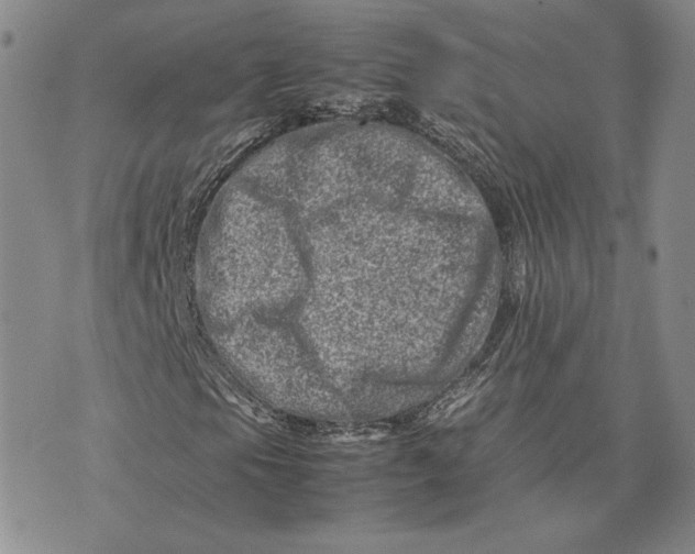 X0000075361105200609251055