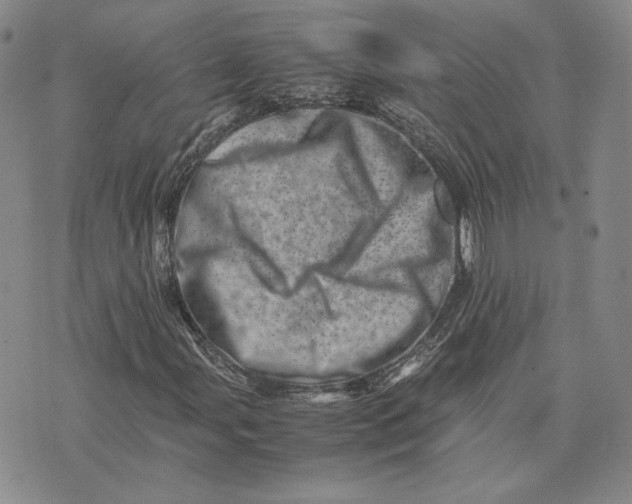 X0000075361107200609251055