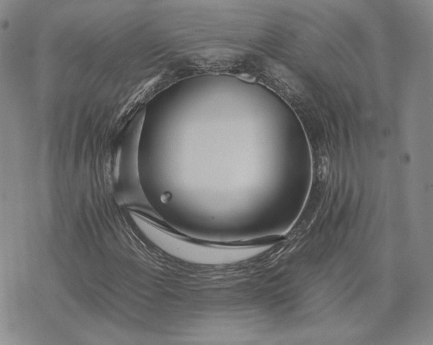 X0000075361108200609251055