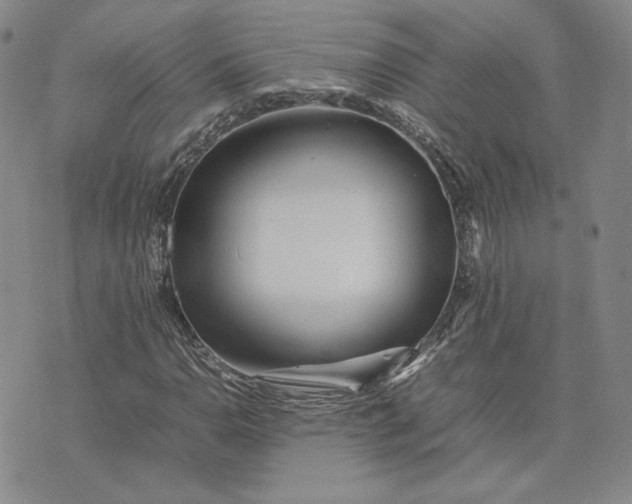 X0000075361110200609251055