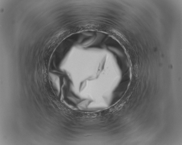 X0000075361111200609251055