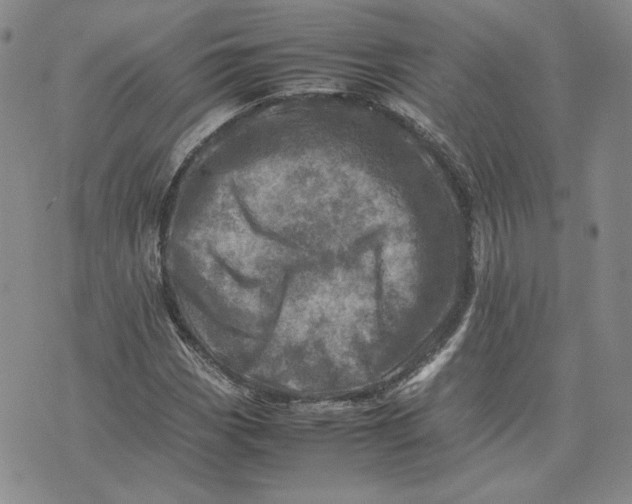 X0000075361113200609251055