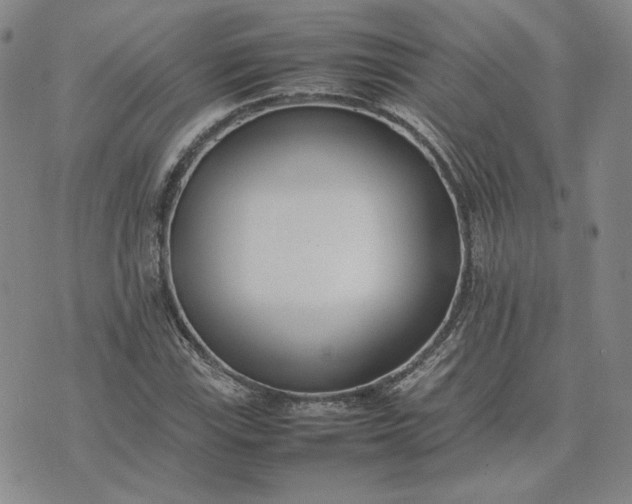 X0000075361115200609251055