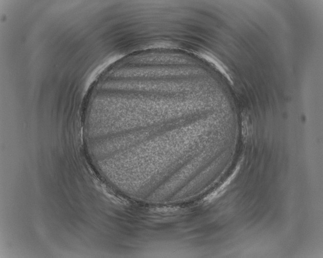 X0000075361117200609251055