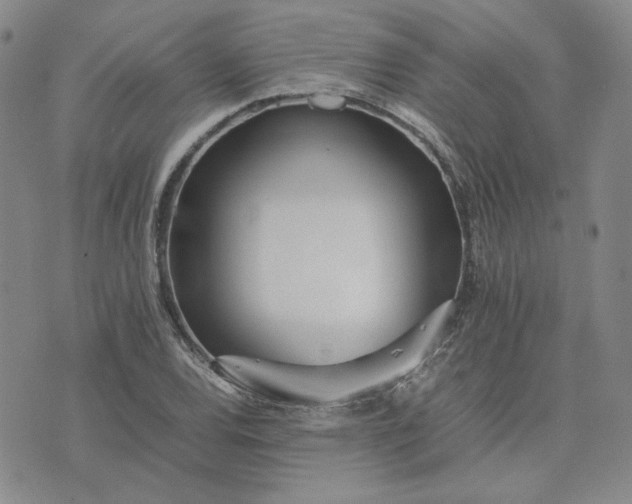 X0000075361120200609251055