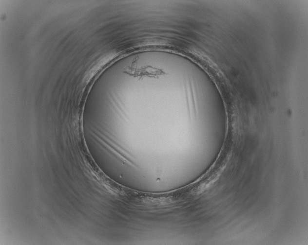 X0000075361121200609251055