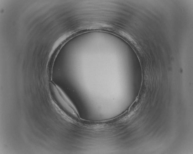 X0000075361122200609251055