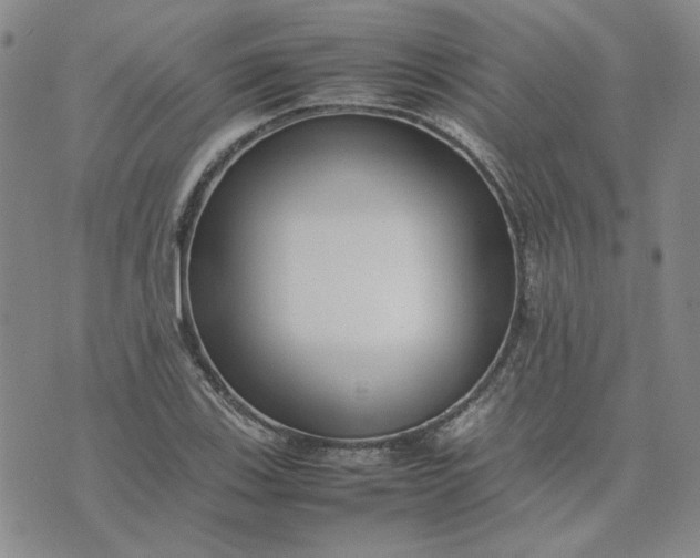 X0000075361123200609251055