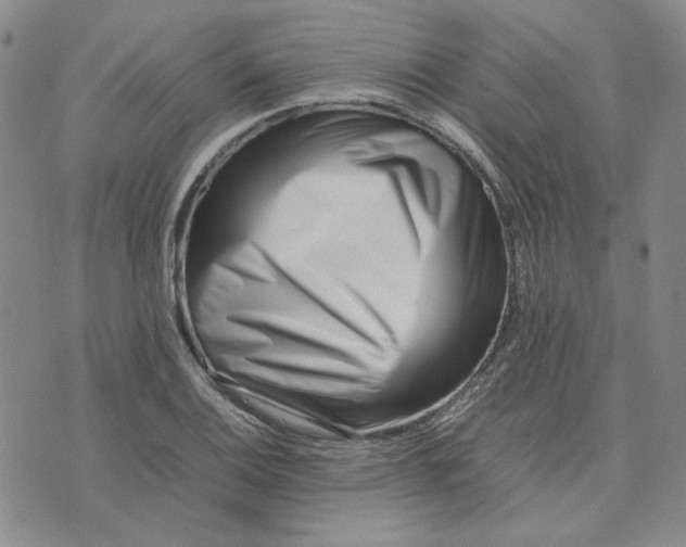 X0000075361124200609251055