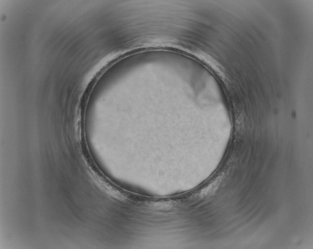 X0000075361126200609251055