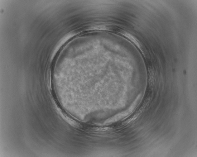 X0000075361131200609251055