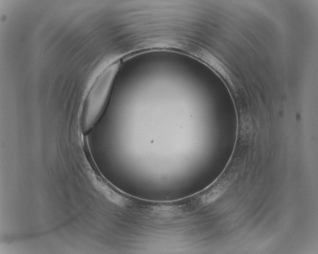 X0000075361132200609251055