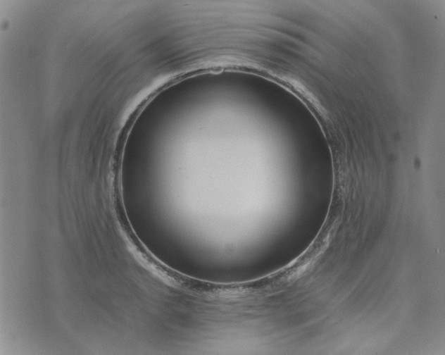 X0000075361134200609251055