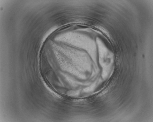 X0000075361135200609251055