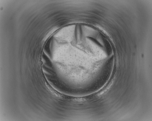 X0000075361137200609251055