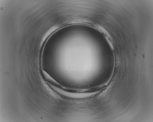 X0000075361138200609251055