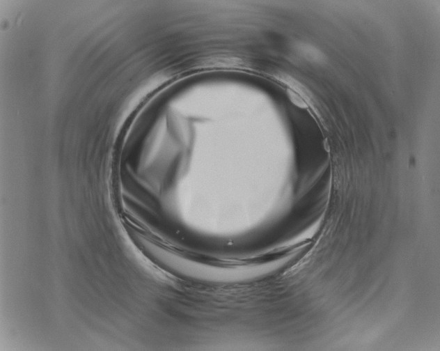 X0000075361139200609251055