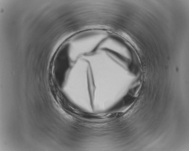 X0000075361140200609251055