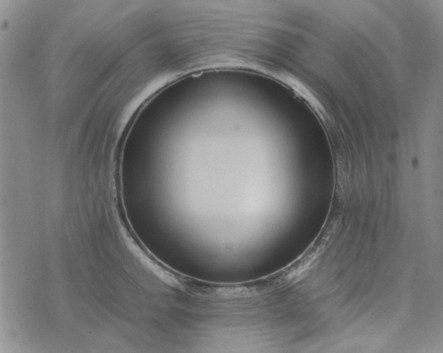 X0000075361142200609251055