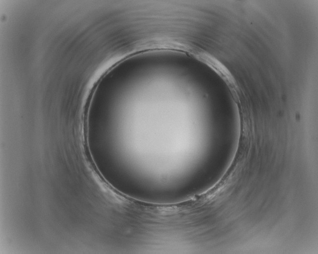 X0000075361144200609251055