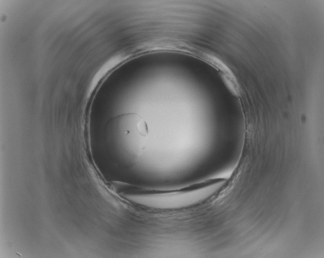 X0000075361146200609251055