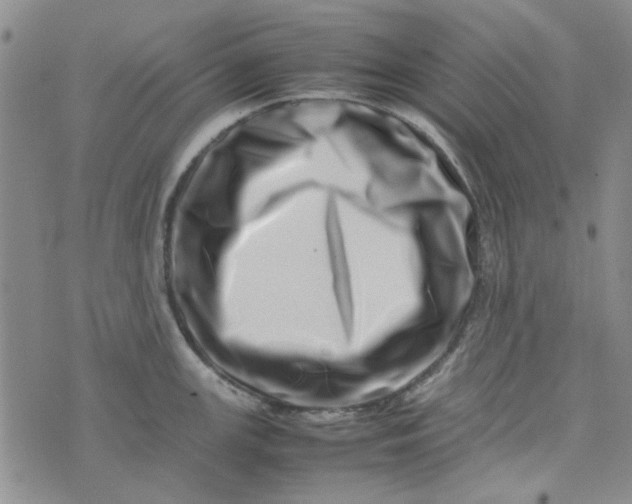 X0000075361147200609251055