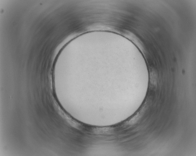 X0000075361150200609251055