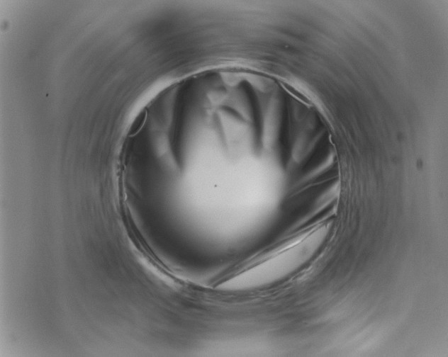 X0000075361151200609251055