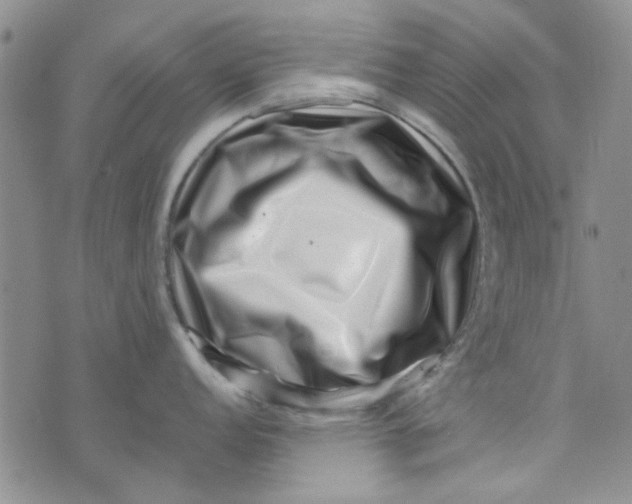 X0000075361152200609251055