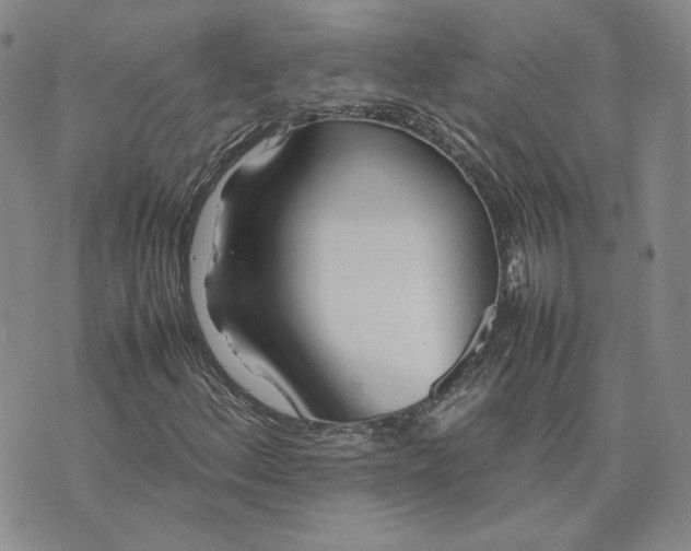 X0000075361156200609251055