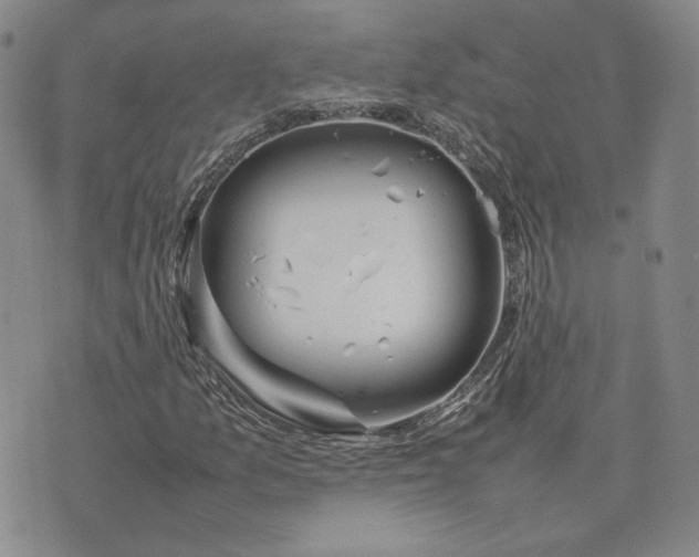 X0000075361157200609251055