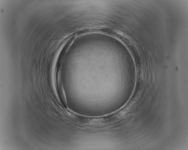 X0000075361161200609251055