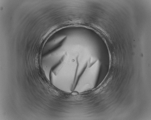 X0000075361162200609251054