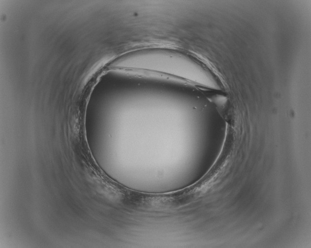 X0000075361163200609251054