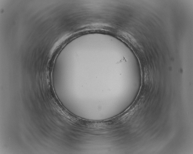 X0000075361164200609251054