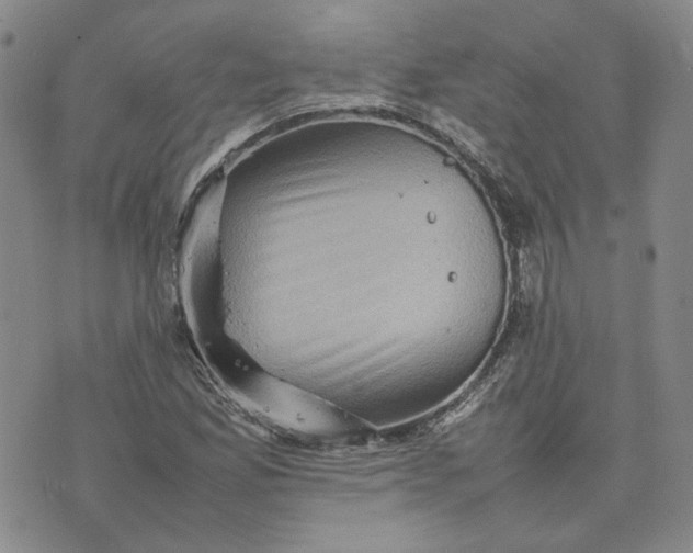 X0000075361165200609251054