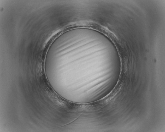 X0000075361166200609251054