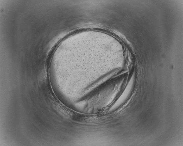 X0000075361167200609251054